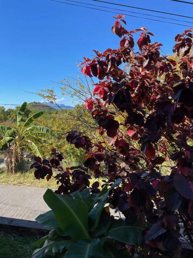 Jardin Sur Mer 豪特尔 外观 照片