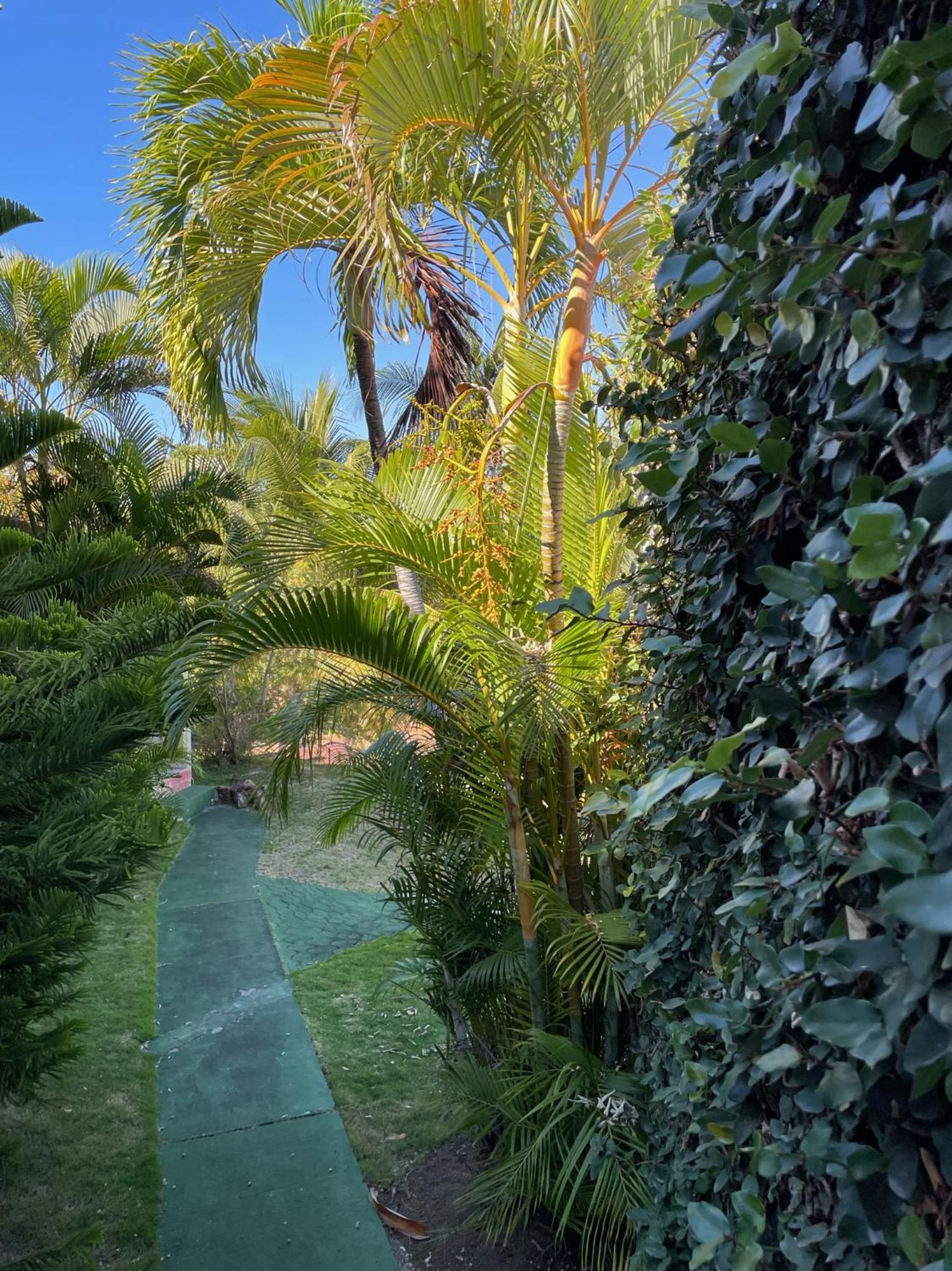 Jardin Sur Mer 豪特尔 外观 照片